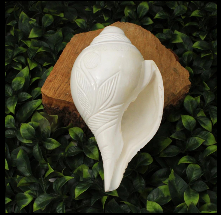 Shankh