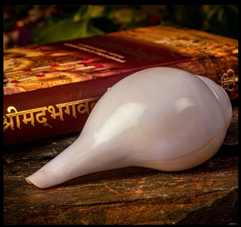 Shankh - Image 3